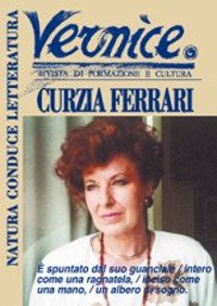 Immagine copertina libro Vernice. Rivista di formazione e cultura. Vol. 31-32