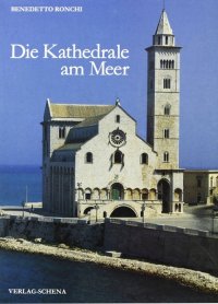 Immagine copertina libro Die kathedrale am Meer