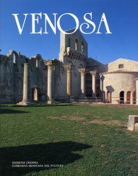 Immagine copertina libro Venosa