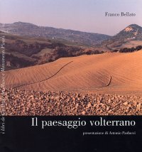 Immagine copertina libro Paesaggio volterrano