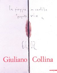 Immagine copertina libro Giuliano Collina. Animi domus. Ediz. italiana e inglese