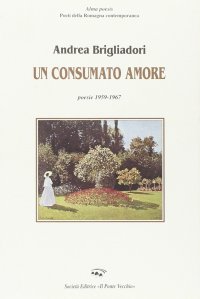 Immagine copertina libro Un consumato amore