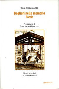 Immagine copertina libro Bagliori nella memoria