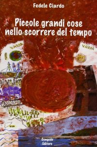 Immagine copertina libro Piccole grandi cose nello scorrere del tempo