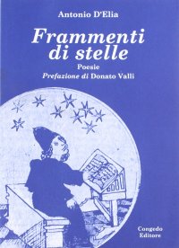 Immagine copertina libro Frammenti di stelle