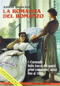 Immagine copertina libro La Romagna del romanzo