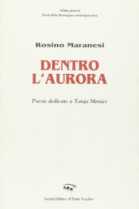 Immagine copertina libro Dentro l'aurora