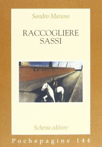 Immagine copertina libro Raccogliere sassi