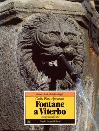 Immagine copertina libro Fontane a Viterbo