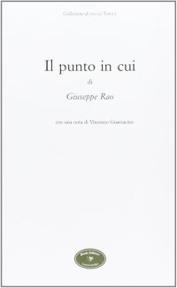 Immagine copertina libro Il punto in cui