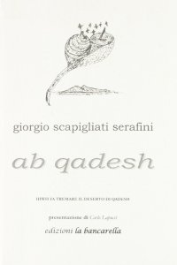 Immagine copertina libro Ab Qadesh