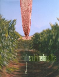 Immagine copertina libro sculture da collina. Vent'anni di scultura a Brufa. Ediz. illustrata