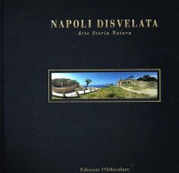 Immagine copertina libro Napoli disvelata. Arte, storia, natura. Ediz. italiana e inglese