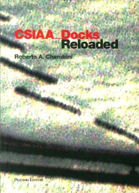 Immagine copertina libro CSIAA Docks reloaded. Ediz. italiana e inglese