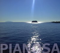 Immagine copertina libro Pianosa