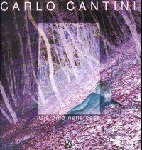 Immagine copertina libro Giardino della casa. Ediz. illustrata