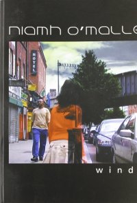 Immagine copertina libro Niamh O'Malley window
