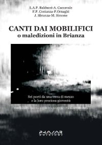 Immagine copertina libro Canti dai mobilifici o maledizioni in Brianza