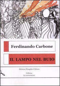 Immagine copertina libro Il lampo nel buio