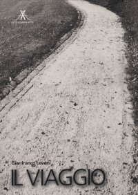 Immagine copertina libro Il viaggio. Ediz. illustrata