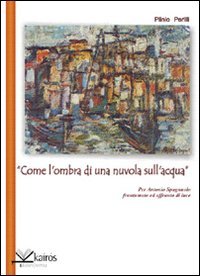 Immagine copertina libro «Come l'ombra di una nuvola sull'acqua» per Antonio Spagnuolo frantumato e affranto di luce
