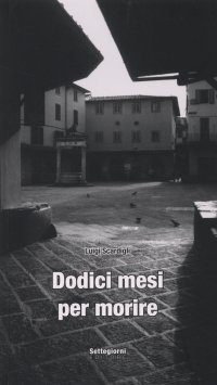 Immagine copertina libro Dodici mesi per morire