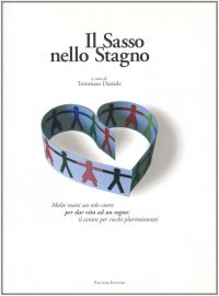 Immagine copertina libro Il sasso nello stagno