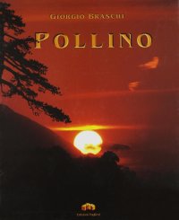 Immagine copertina libro Pollino. Viaggio interiore in una realtà irreale. Ediz. illustrata
