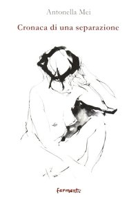Immagine copertina libro Cronaca di una separazione