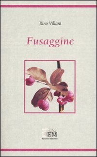 Immagine copertina libro Fusaggine