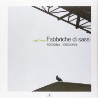 Immagine copertina libro Fabbriche di sassi. Ediz. illustrata