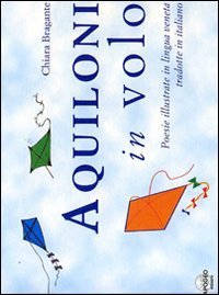 Immagine copertina libro Aquiloni in volo