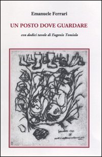 Immagine copertina libro Un posto dove guardare