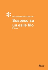 Immagine copertina libro Sospeso su un esile filo