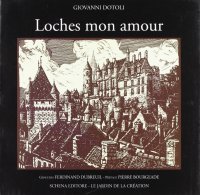 Immagine copertina libro Loches non amour