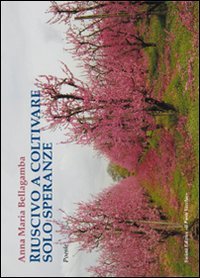 Immagine copertina libro Riuscivo a coltivare solo speranze