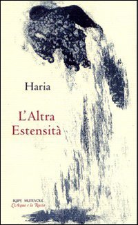 Immagine copertina libro L'altra estensità