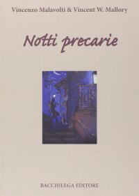 Immagine copertina libro Notti precarie