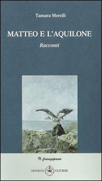 Immagine copertina libro Matteo e l'aquilone