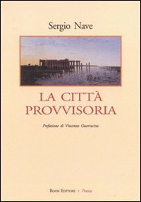 Immagine copertina libro La città provvisoria
