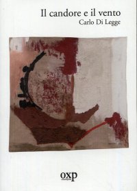 Immagine copertina libro Il candore e il vento