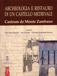 Immagine copertina libro Archeologia e restauro di un castello medievale. Castrum de Monte Zambano