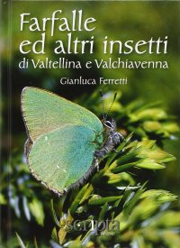Immagine copertina libro Farfalle e altri insetti di Valtellina e Valchiavenna