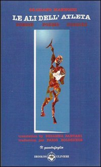 Immagine copertina libro Verso la valle incantata