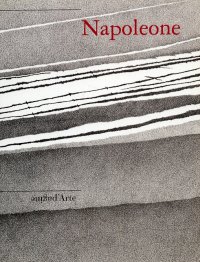 Immagine copertina libro Giulia Napoleone. Incisioni e carte a Villa dei Cedri