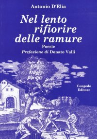 Immagine copertina libro Nel lento rifiorire delle ramure
