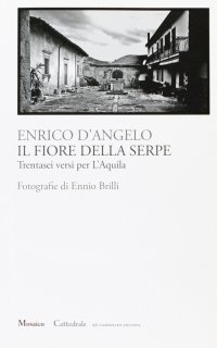Immagine copertina libro Il fiore della serpe