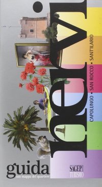 Immagine copertina libro Nervi