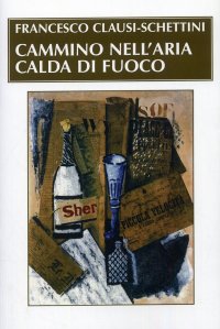 Immagine copertina libro Cammino nell'aria calda di fuoco