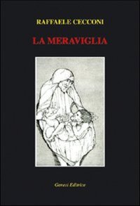 Immagine copertina libro La meraviglia